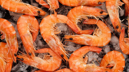 fresh shrimps on ice, closeup