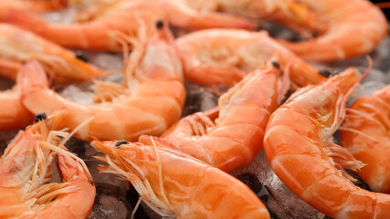fresh shrimps on ice closeup. macro shot