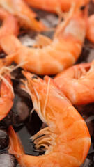 fresh shrimps on ice closeup. macro shot