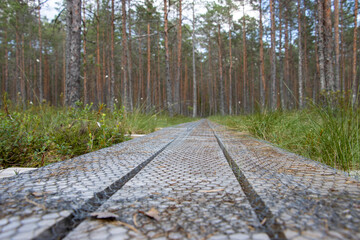 Fototapeta premium Wooden walkway on the swamp. Route walkways laid in the swamp. Anti-slip metal grill on the table