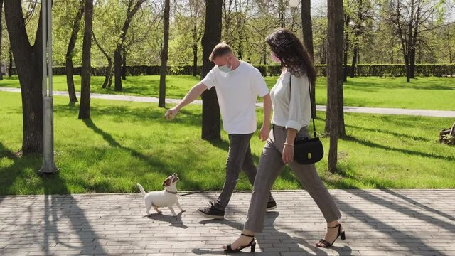 Sequence Of Shots Of Young Woman And Man In Face Masks Walking Their Cute Jack Russell Terrier Dog In Park On Sunny Summer Day During Pandemic