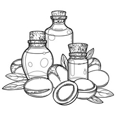 Three graphic oil bottles surrounded by argan plants