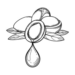 Graphic oil droplet dripping from the argan plant.