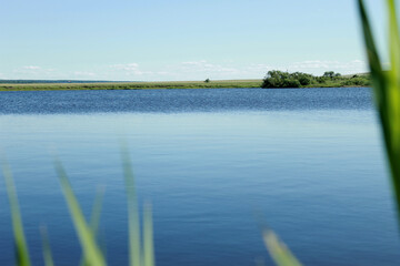 green grass and blue sky