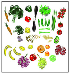 Color illustration of isolated fruits and vegetables on a white background. Broccoli. Onion. Dill. Tomatoes Cucumbers Avocado. Bananas Lemons. Oranges. Grapes Pepper. Eggplant. Vegan. Vegetation.