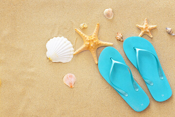 Fototapeta na wymiar Stylish flip-flops and sea shells on beach sand