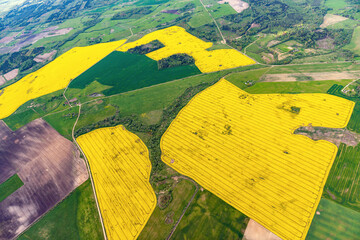 aerial view over the rural fields in spring