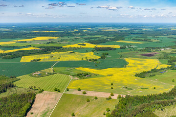 aerial view over the rural fields in spring