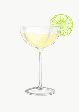 Illustration of cocktail drink with a slice of lime on edge of glass.  Hand drawn image of a tall glass with gin and tonic cocktail