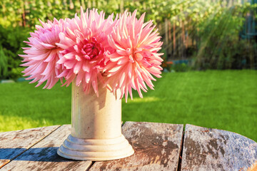 Vase with flowers dahlias in the yard on an old wooden table. Bouquet of pink flowers outdoors in the sunlight.