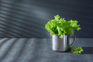 Green lettuce leaves in an aluminum mug on a gray background.