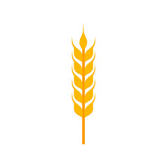 Wheat ear flat, Golden wheat ears icon, vector illustration isolated on white background