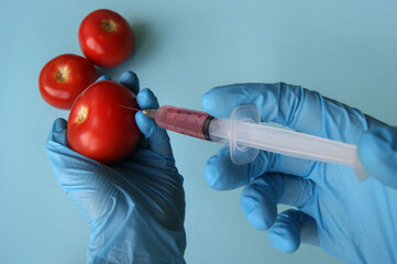 Tomato and syringe with GMO in hands on a blue background.