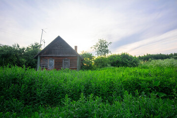 Old rural wooden house overgrown with vegetation against the background of the sunset sky in summer. An abandoned building in the village.