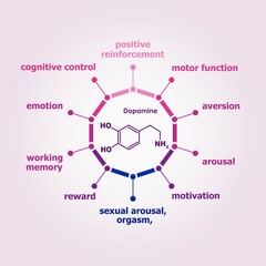 Structural chemical formula of hormone dopamine. Infographics illustration.