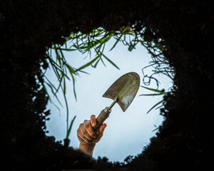 View of a garden trowel or spade seen from inside the earth.  Garden being weeded and dug up as seen from below the ground