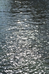 sol y agua gris 