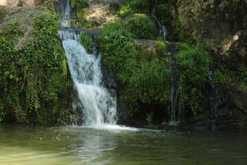 Fototapeta na wymiar Salt de Can Batlle / Waterfall with moss (Olot)