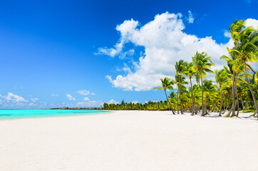Coconut Palm trees on white sandy beach in Punta Cana, Dominican Republic