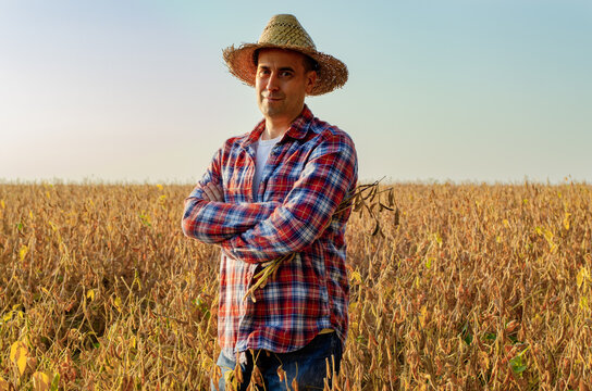 Caucasian Middle Age Farmer In Straw Hat Standing At Soy Field With Crossed Arms