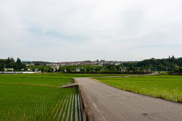 View of residence area of Sanda city, Hyogo prefecture, Japan