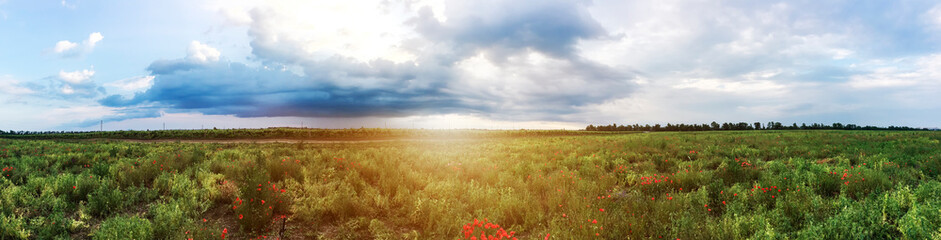 Fototapeta premium Stormy sky in a field at sunset with sunlight.