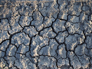 Dry and cracked earth background, concept of global warming