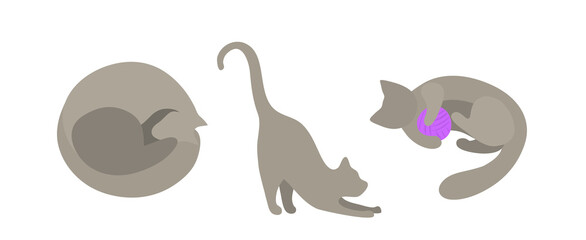 Set of vector silhouettes of gray cats in flat style. The cat curled up and sleeps, the cat stretches its paws forward, the cat plays with a purple ball. Isolated on a white background cats