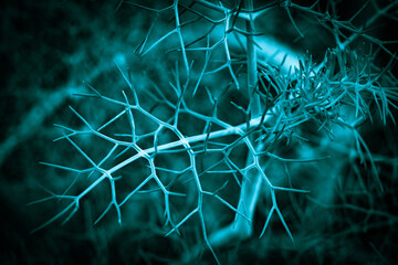 réseau neuronal macro close up végétal