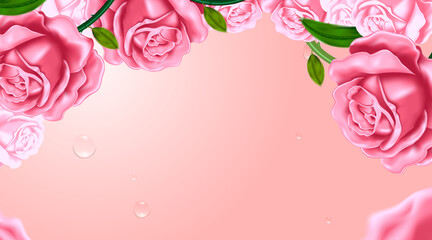 Roses in the pink background