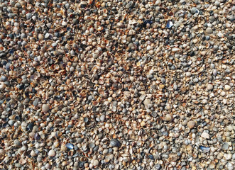 The texture of small, different-sized multi-colored sea shells mixed with gray and yellow sand. Photograph, top view.