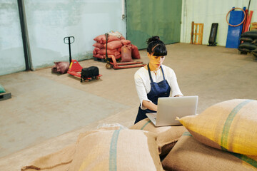 Young serious small warehouse worker sitting a stack of sacks, working on laptop and accepting...
