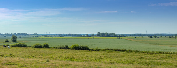 Fototapeta na wymiar Panorama of farming country around Husaby, Sweden
