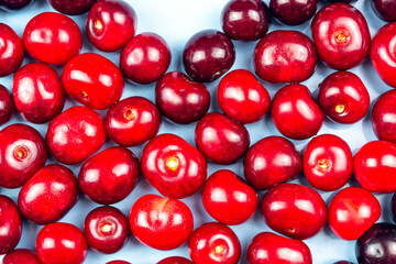 Juicy red cherries. Blue background