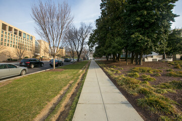 Spring, 2016 - Washington DC, USA - Empty manicured sidewalk: buried in verdure, downtown Washington DC