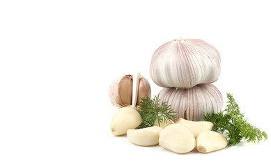 fresh garlic in heads and divided into teeth on a white isolated background