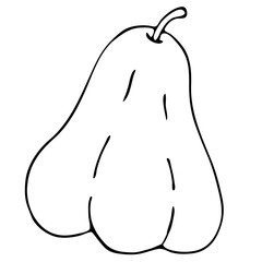 autumn harvest from the garden - zucchini, pumpkin, freehand drawing, vector element in doodle style, coloring book, black outline