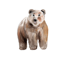 Naklejka premium watercolor drawing of a forest animal - brown bear