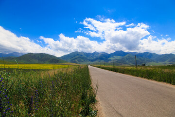 Fototapeta na wymiar Beautiful spring and summer landscape. Mountain country road among green hills.