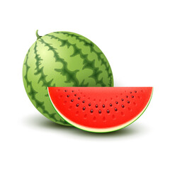 Vector Realistic Watermelon