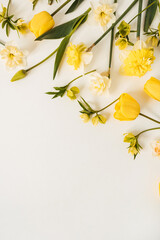Floral composition with tulips and narcissus flowers on white background. Copy space, flat lay, top view
