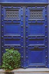 Hand carved blue wooden front door with plant, facade of a building in Paris, France