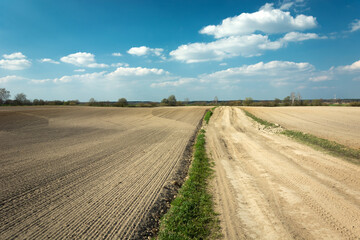 Fototapeta na wymiar A sandy road through ploughed fields