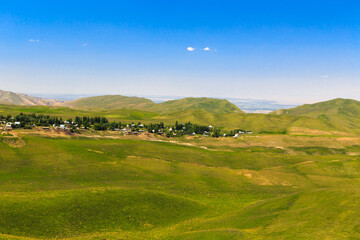 Beautiful spring and summer landscape. Lush green hills. Spring blooming herbs.