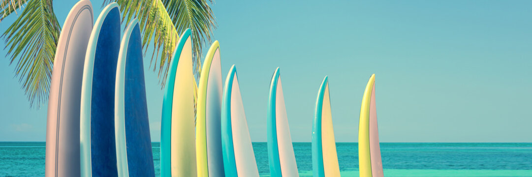 Panorama of vintage colorful surfboards on a tropical beach by the ocean with palm tree