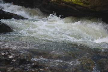 water flowing over rocks in the forest