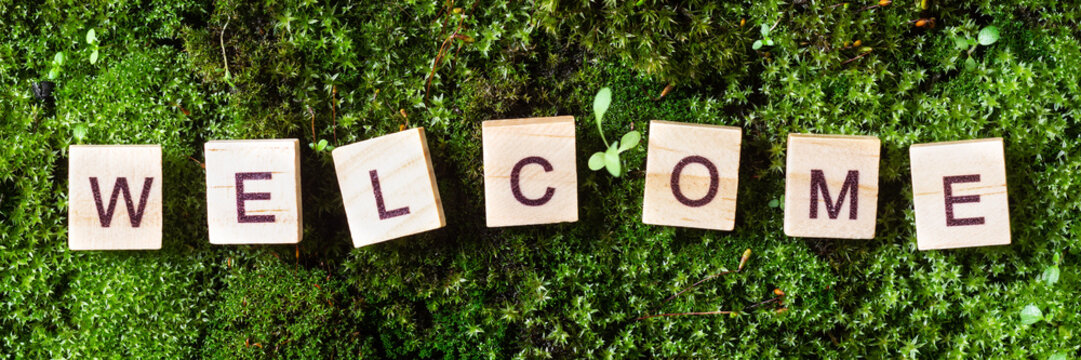 Word welcome. The word welcome is written on a background of moss. The letters on the wooden blocks add up to the word welcome. The view from the top. Banner