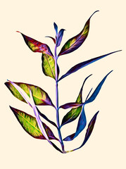 Butterfly leaves colored art.