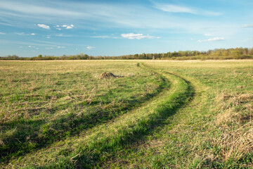 Fototapeta na wymiar A winding road in the meadow and white clouds on the blue sky
