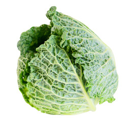 Green fresh cabbage isolated on white background